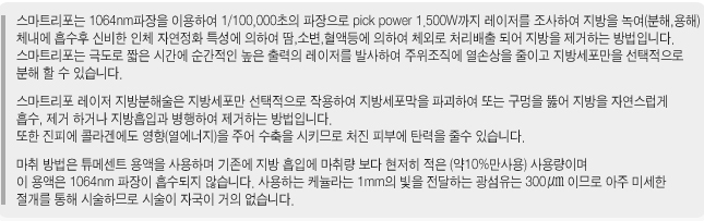 스마트리포